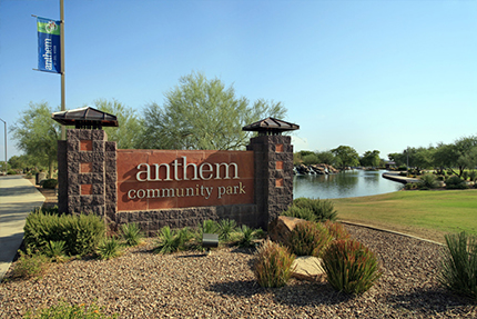 Anthem drip repair services