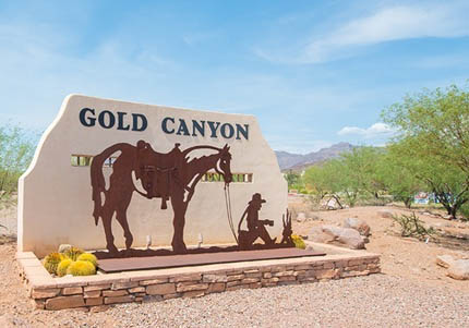 Gold Canyon drip repair services